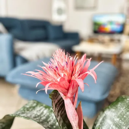 Sunny Central One-bedroom Apartamento *